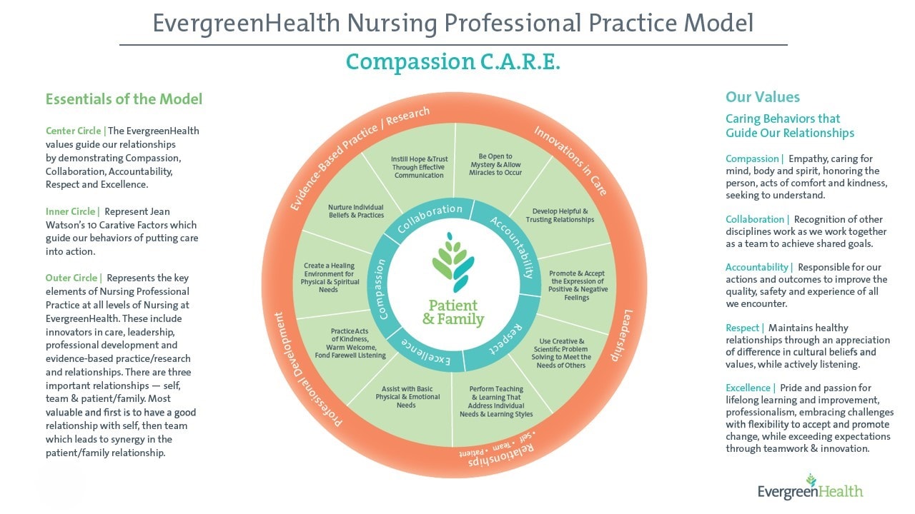 professional practice model diagram