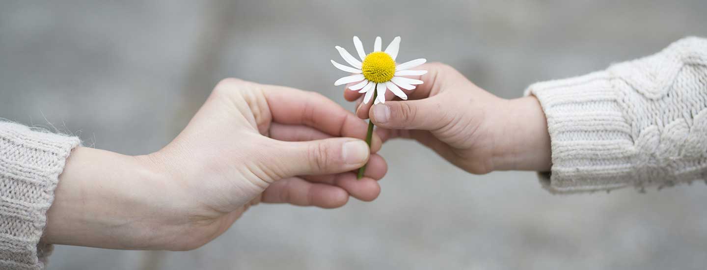 child giving daisy to mother